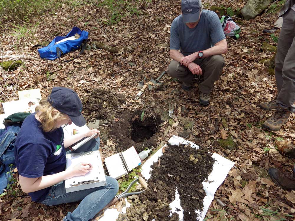 Scientists collecting soil information